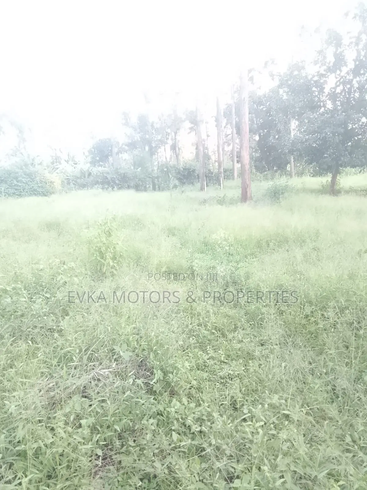 31⁄4 Acres Available Maragwa Summary