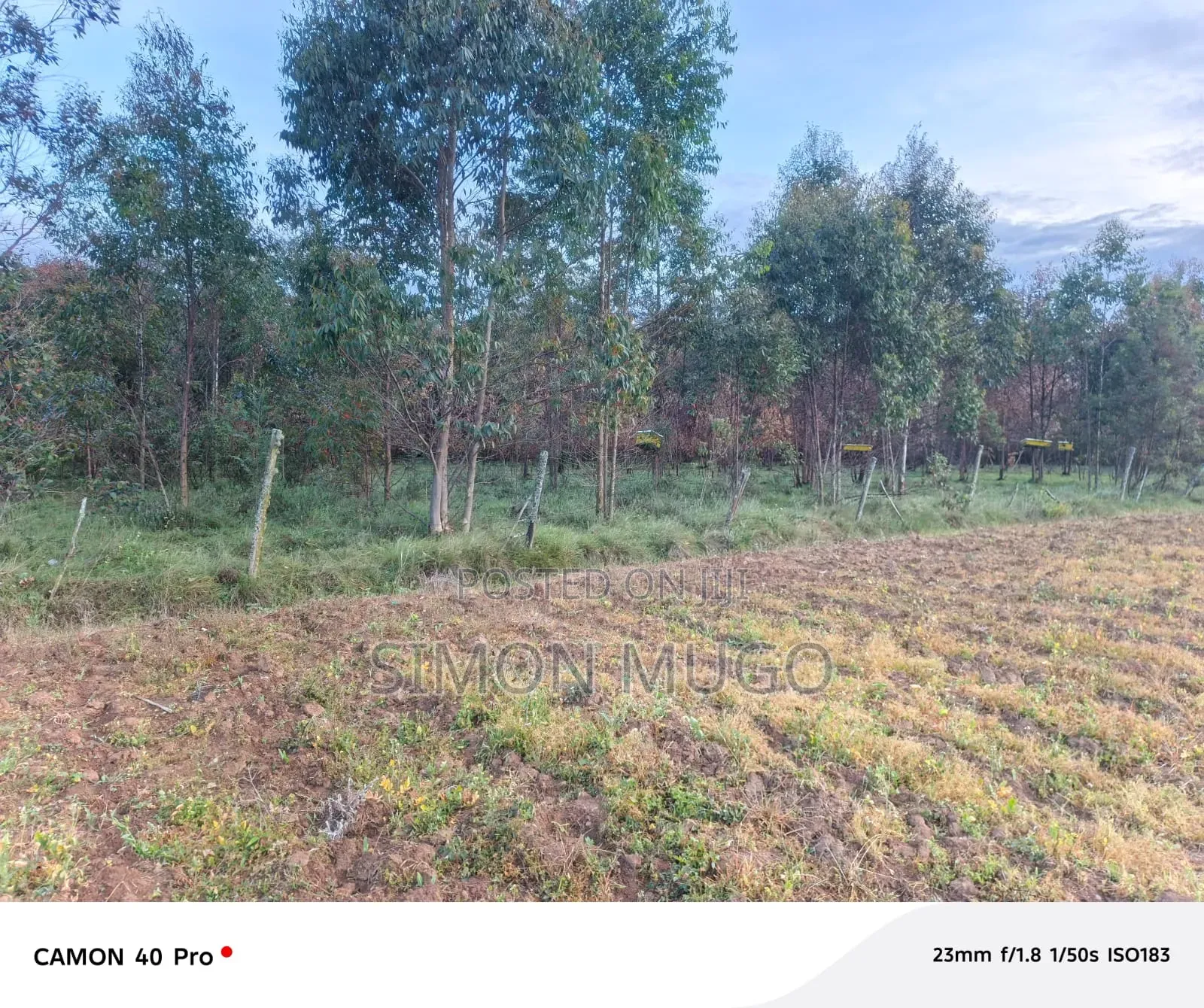 Nyahururu Mairu Ikumi Prime 5 Acres Fronting Main Tarmac Road
