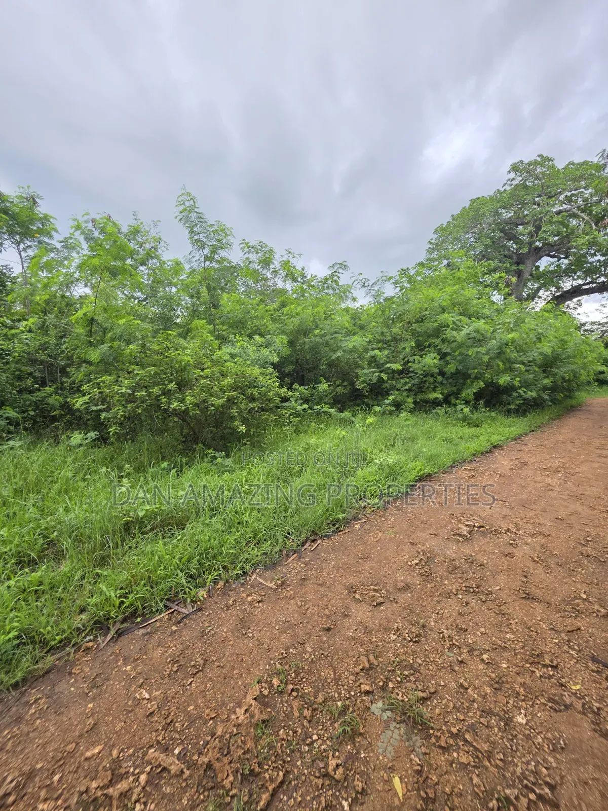 2 Pieces of 1/4 Acre Each Diani Behind Sunderowner for Sale