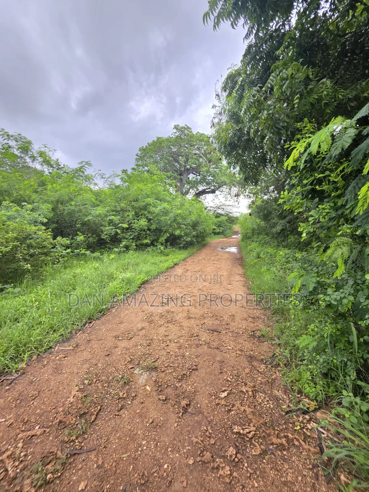 2 Pieces of 1/4 Acre Each Diani Behind Sunderowner for Sale