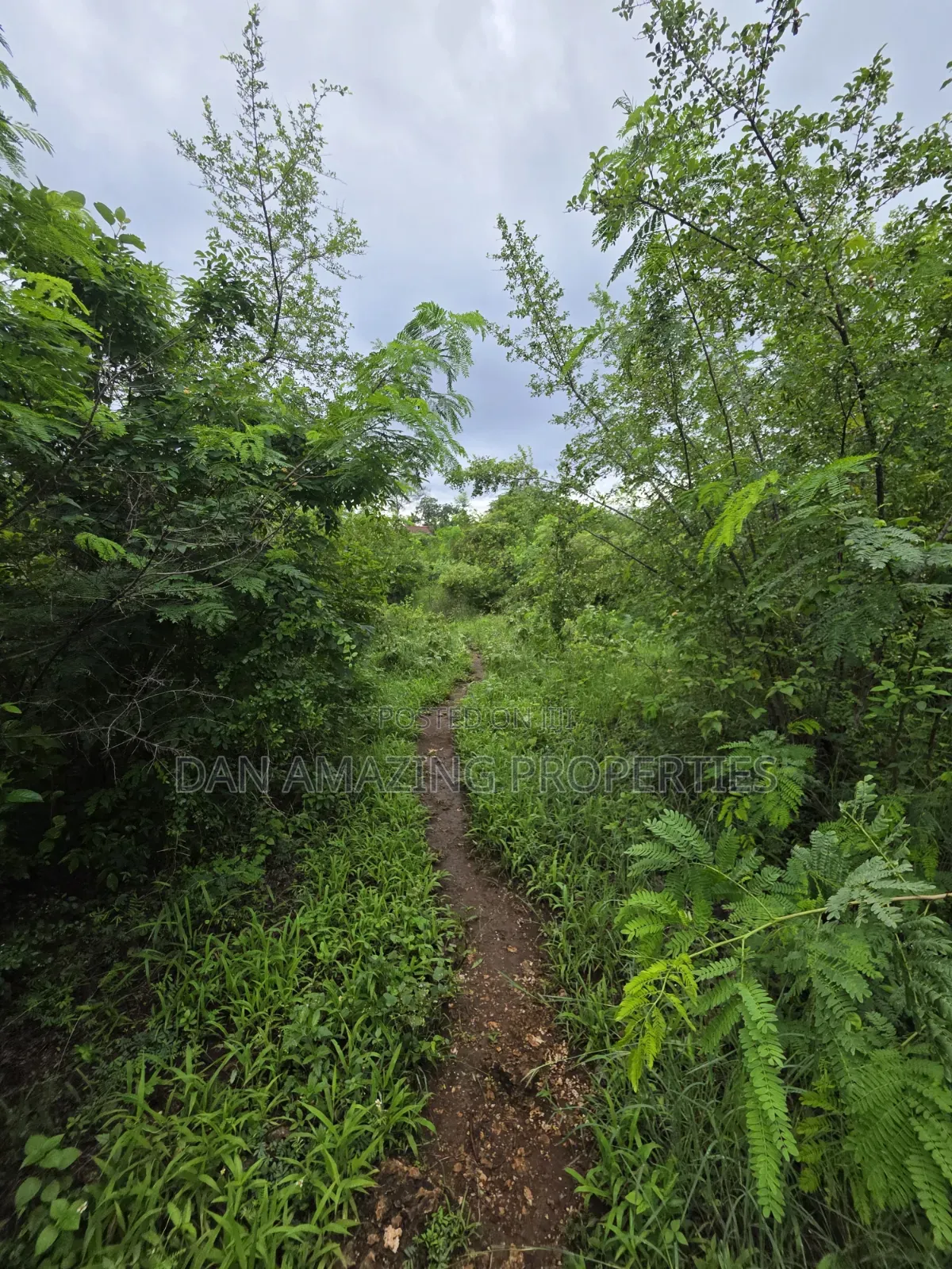 2 Pieces of 1/4 Acre Each Diani Behind Sunderowner for Sale