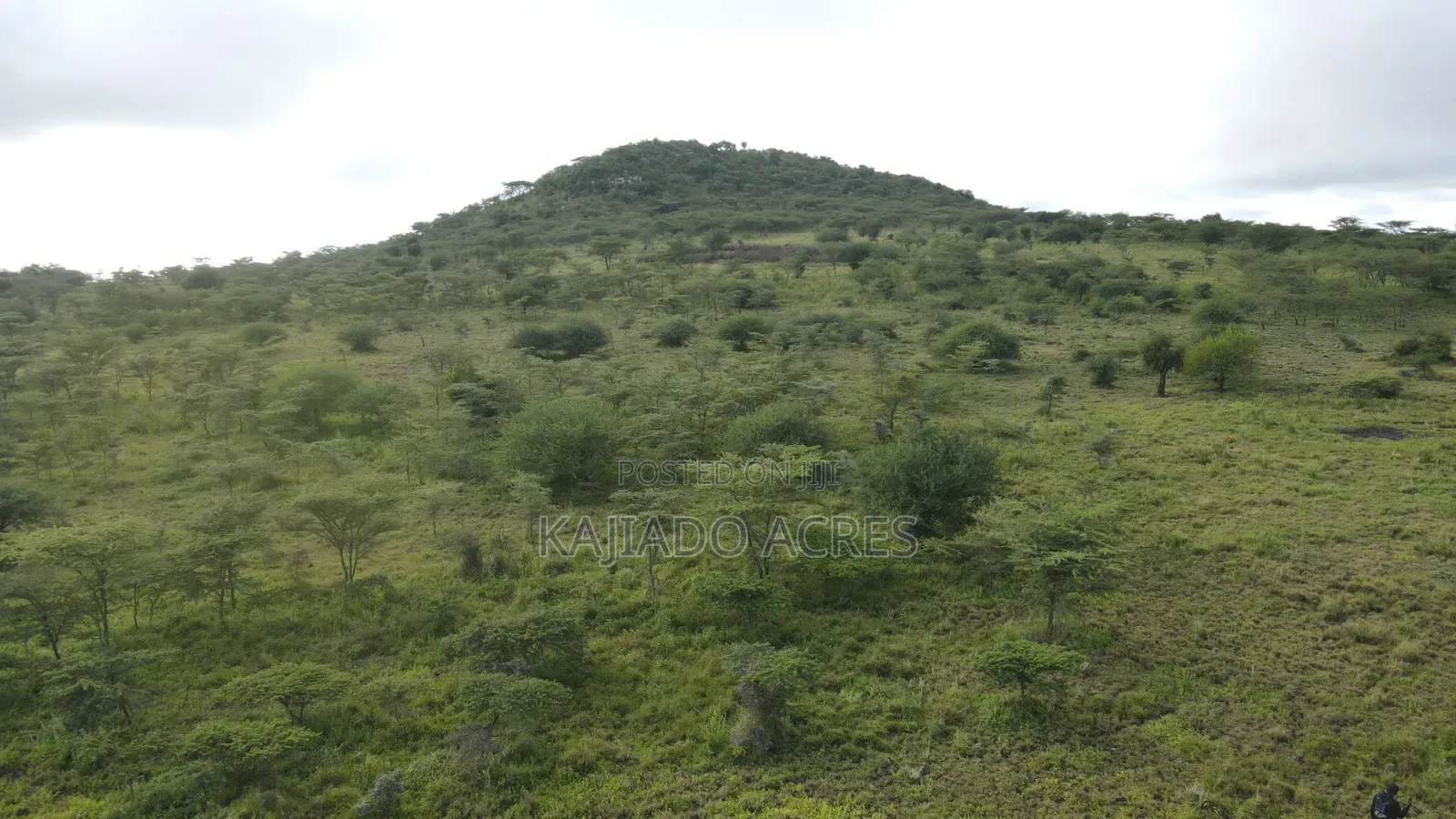 20 Acres Kipeto at Per Acre