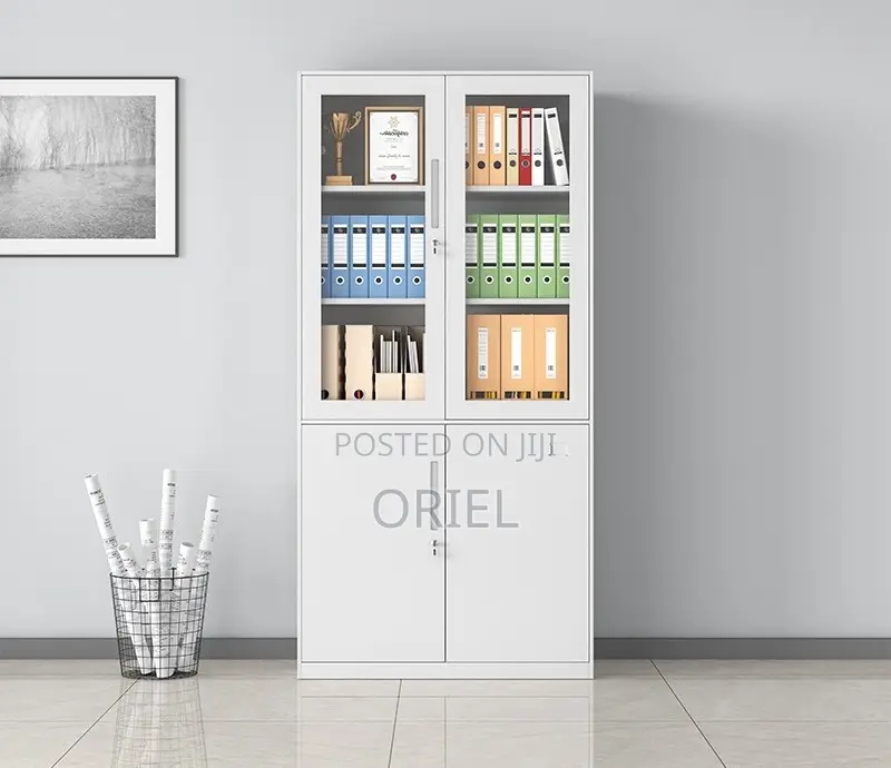 Office Steel Cabinet : Modern 2-Door Filing Office Cabinet