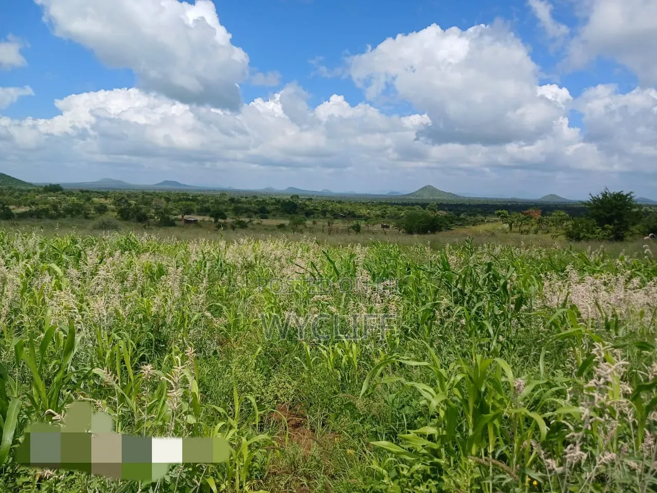 200 Acres for Sale in Makindu, Makueni