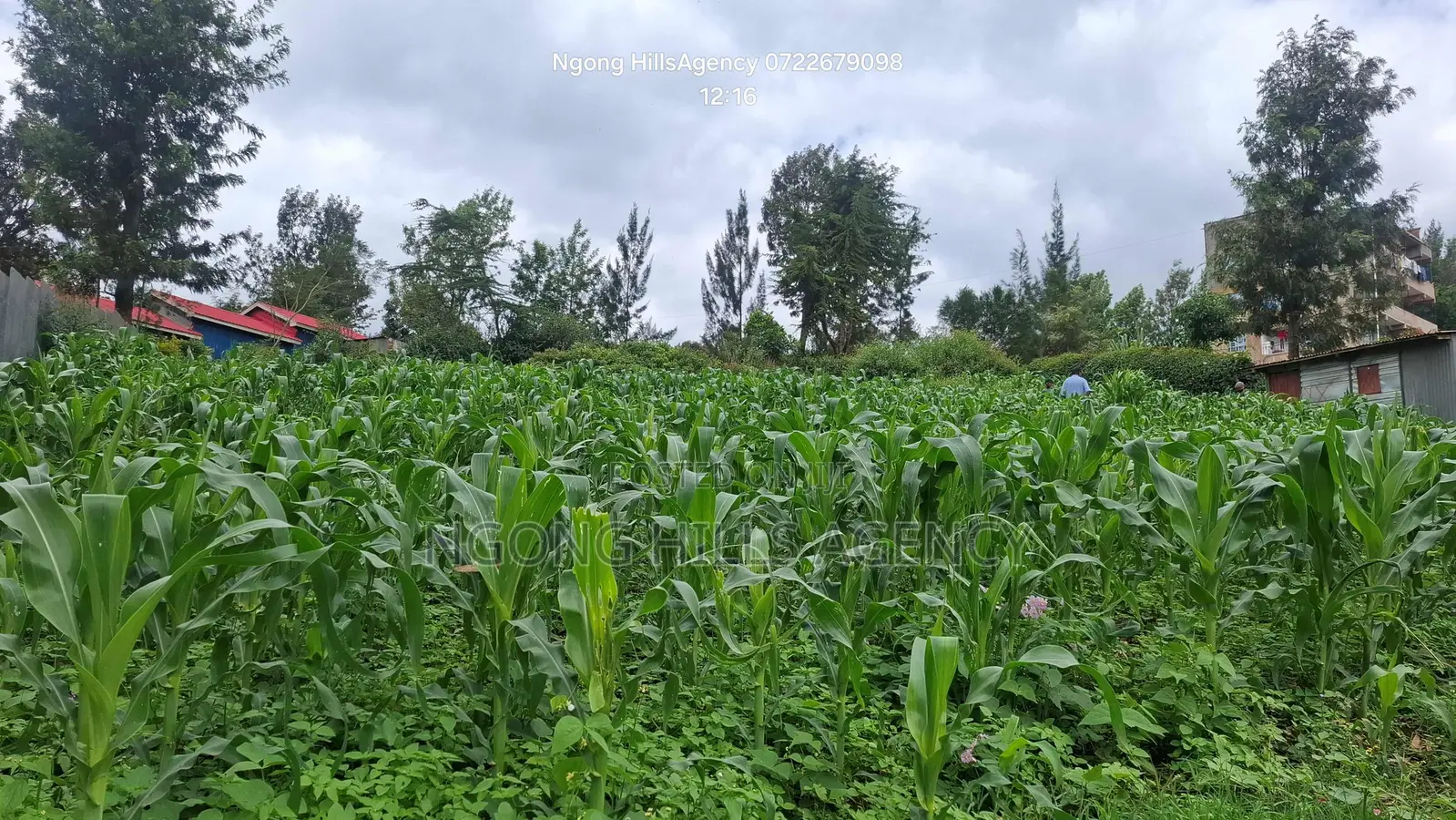 One-of-a-Kind Commercial Plot in Ngong Town