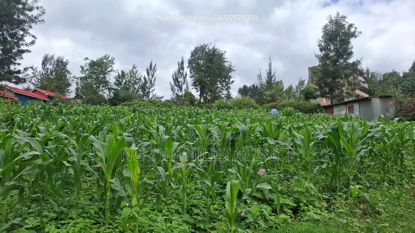 One-of-a-Kind Commercial Plot in Ngong Town