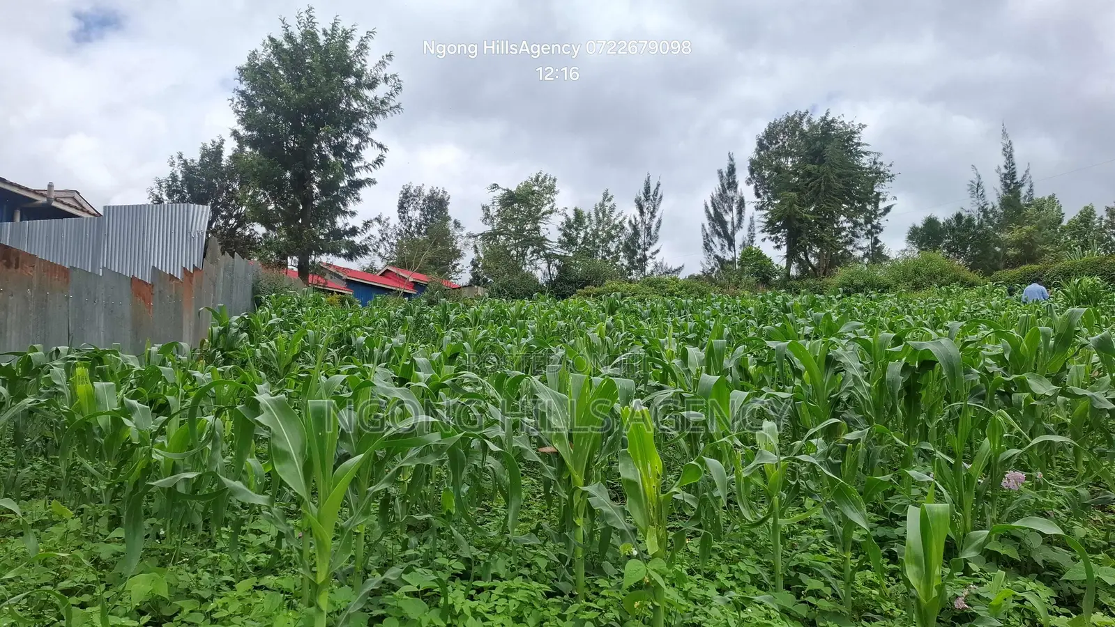 One-of-a-Kind Commercial Plot in Ngong Town