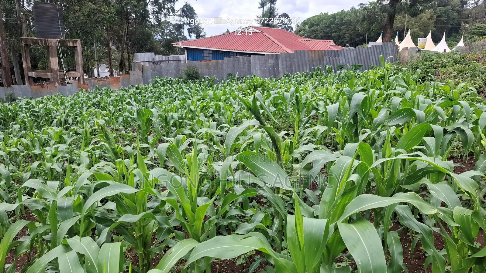 One-of-a-Kind Commercial Plot in Ngong Town