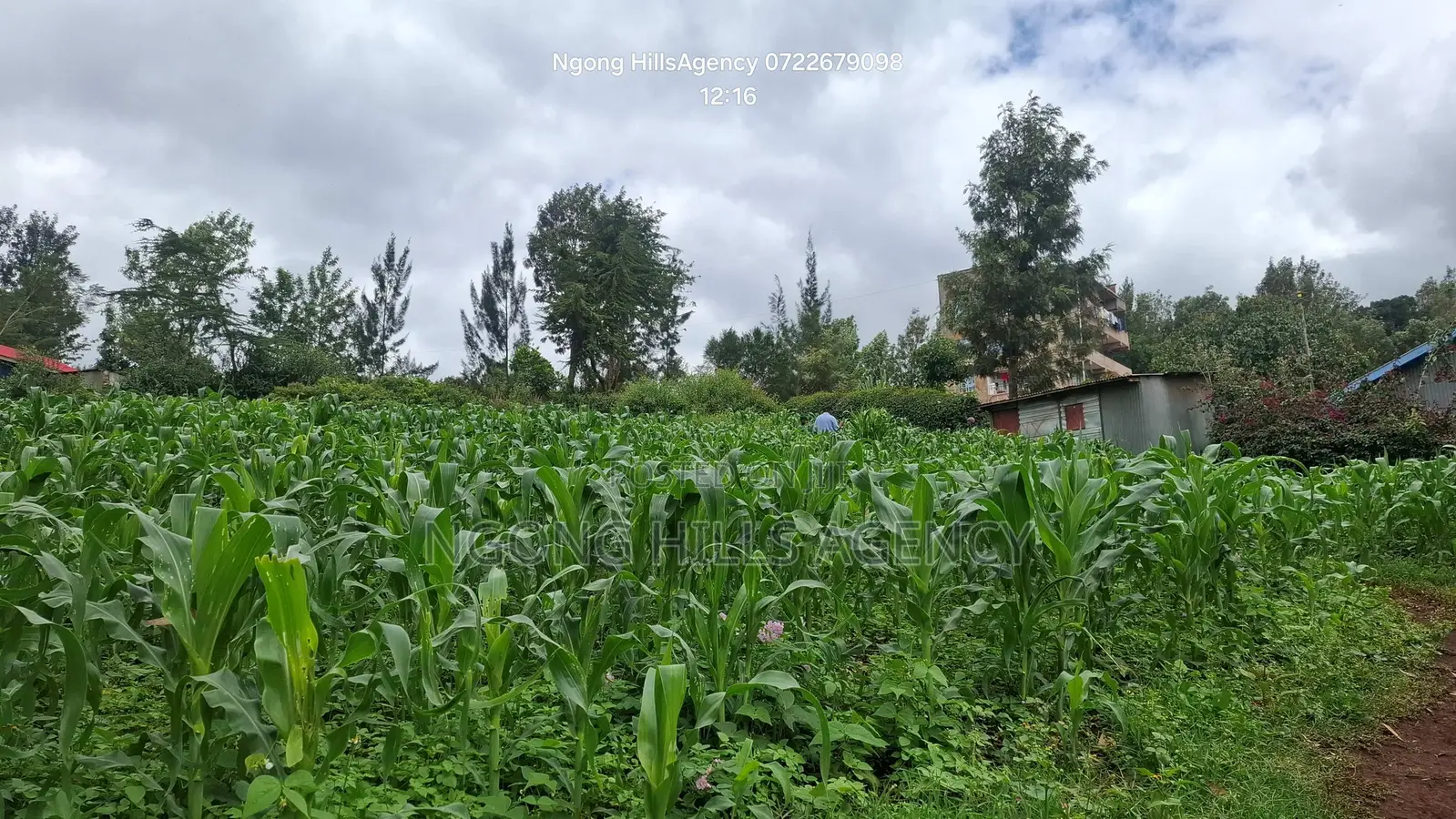 One-of-a-Kind Commercial Plot in Ngong Town