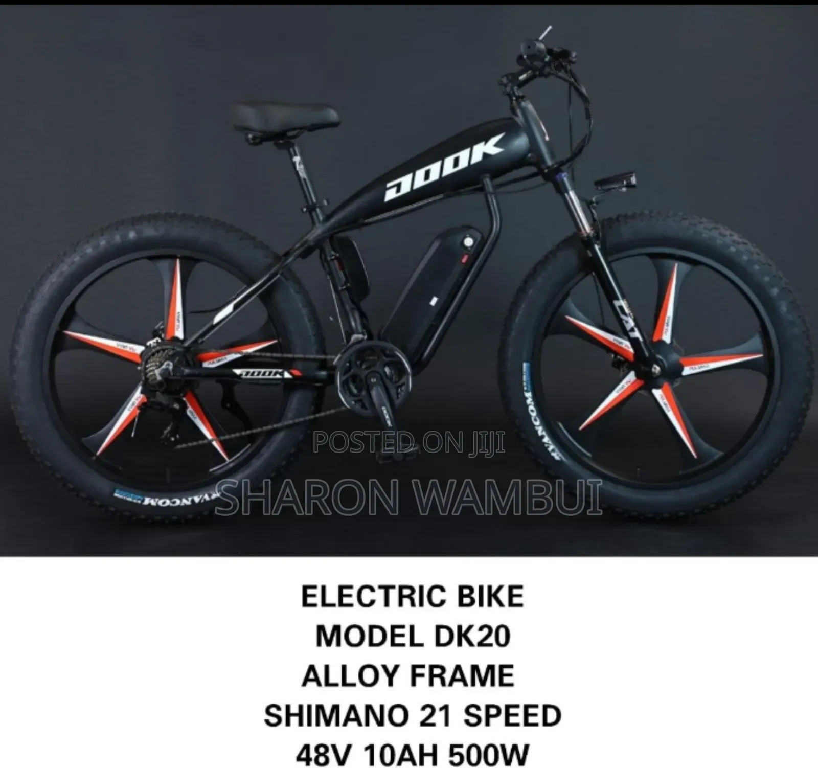Quality Dook Electric Bike/New Dook Electric Bike
