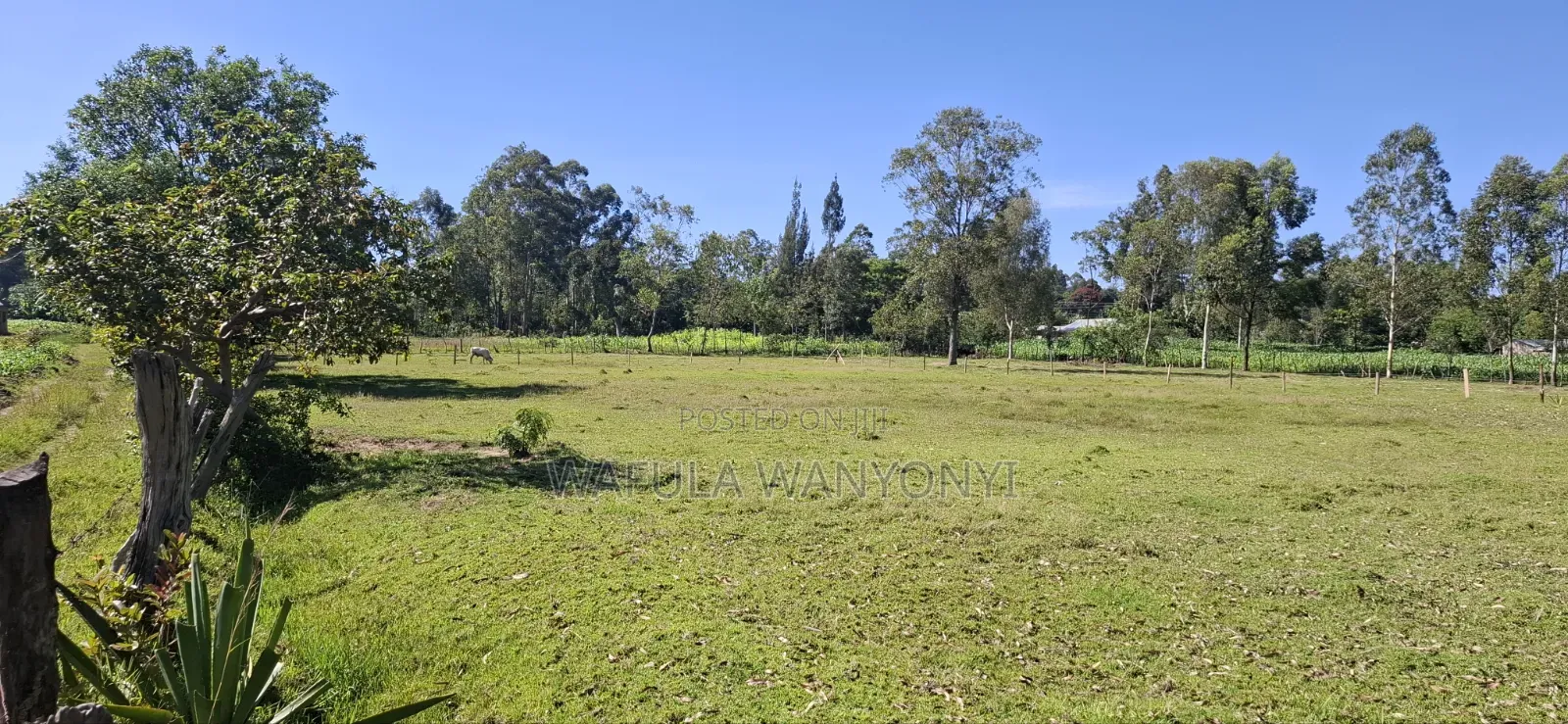 2 Acres Ndengelwa Bungoma
