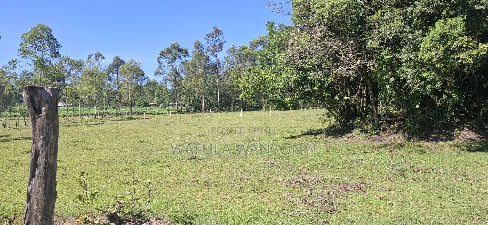 2 Acres Ndengelwa Bungoma