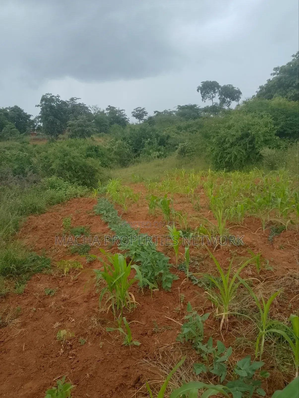 Half Acre Land- At Kyua Near Kwavonza Town