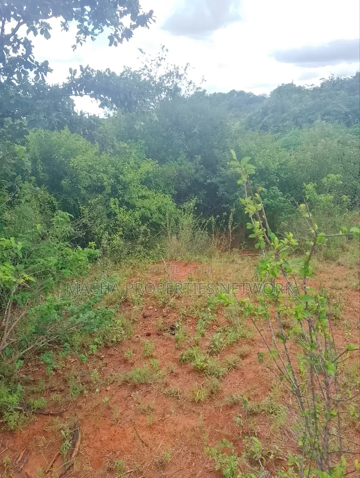 Half Acre Land- At Kyua Near Kwavonza Town