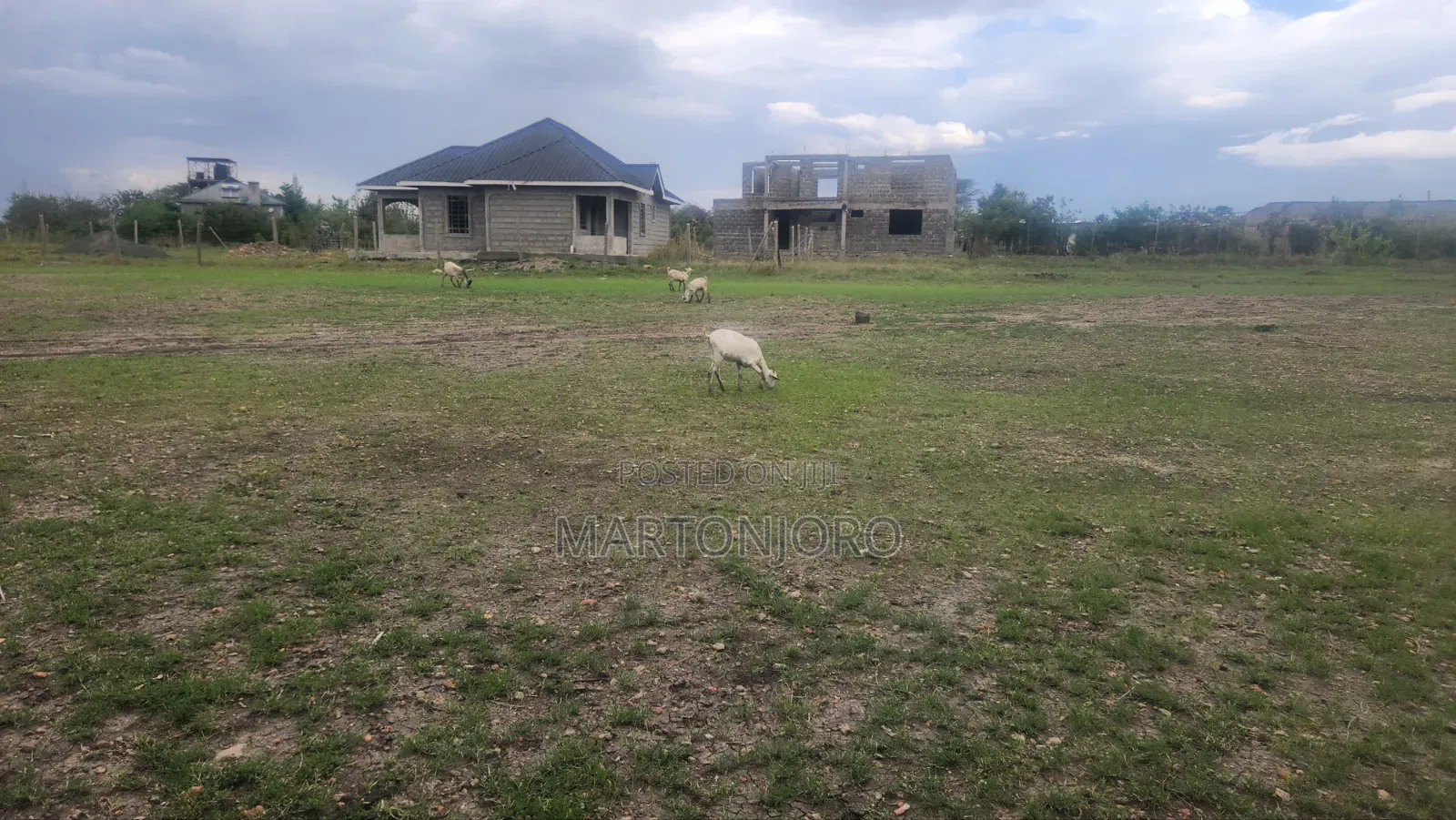 Thika Muthaiga Affodable Plots