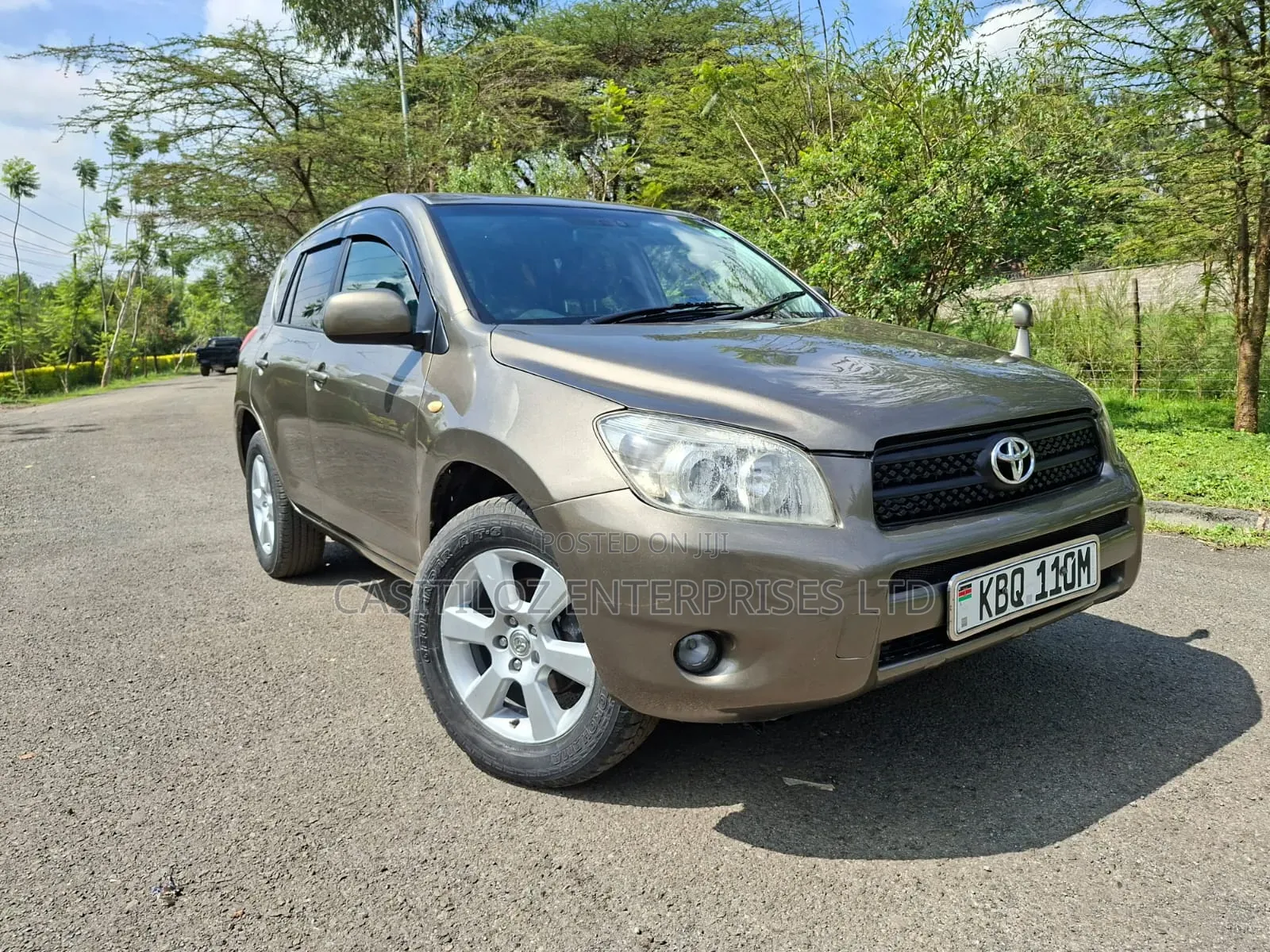 Toyota RAV4 4x4 2009 Gold