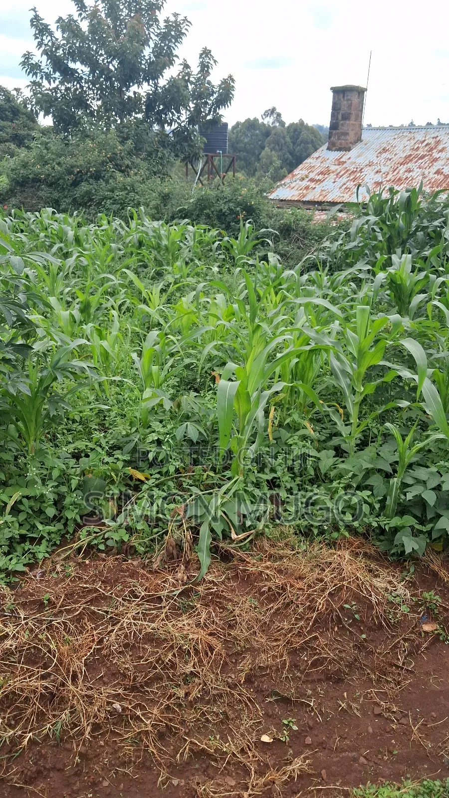 Ruaka Commercial Centre Near Decimal Hotel Prime 100x100 on 2nd Row