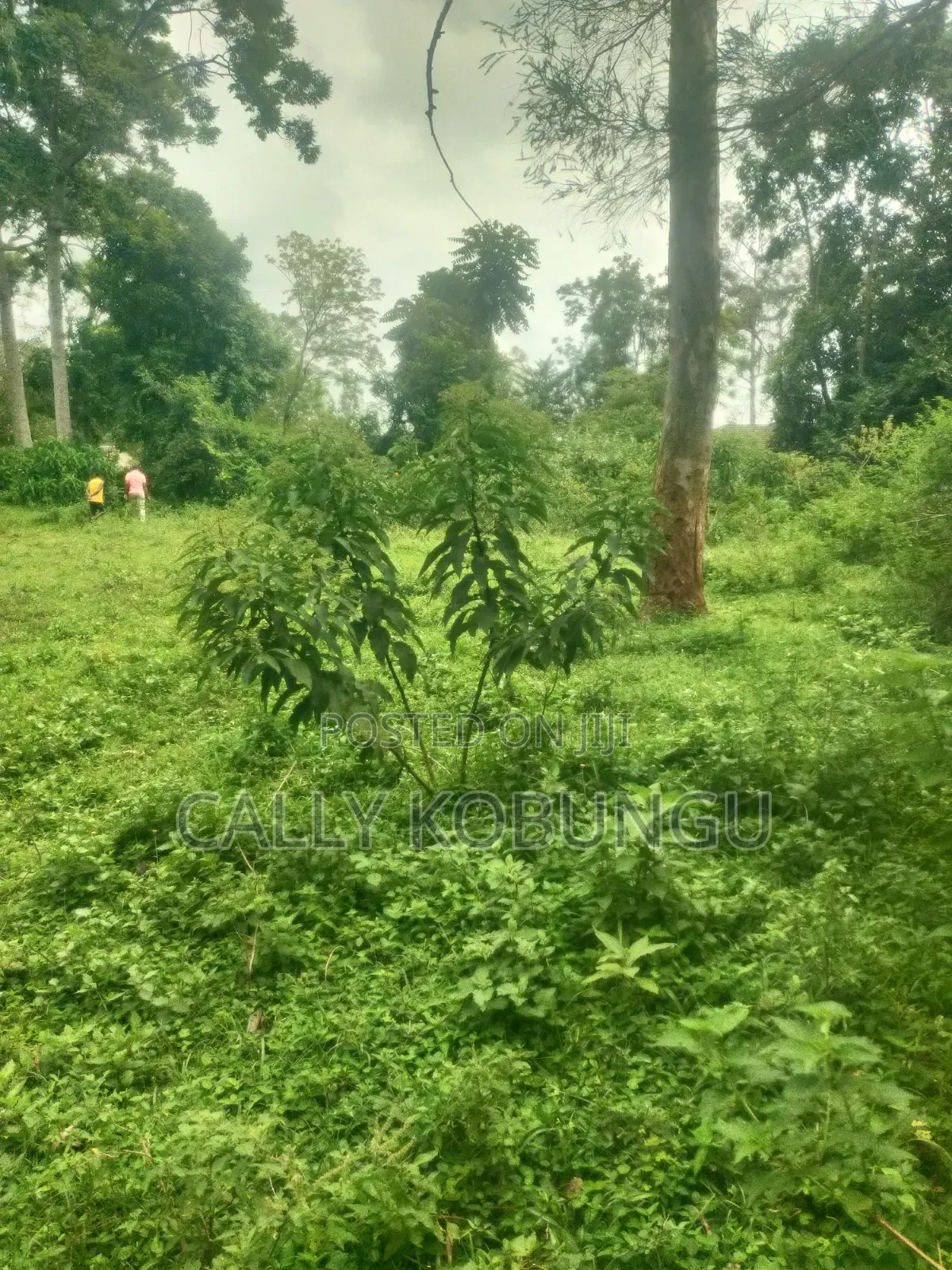 0.04 Ha in Ogango Near Star Hospital