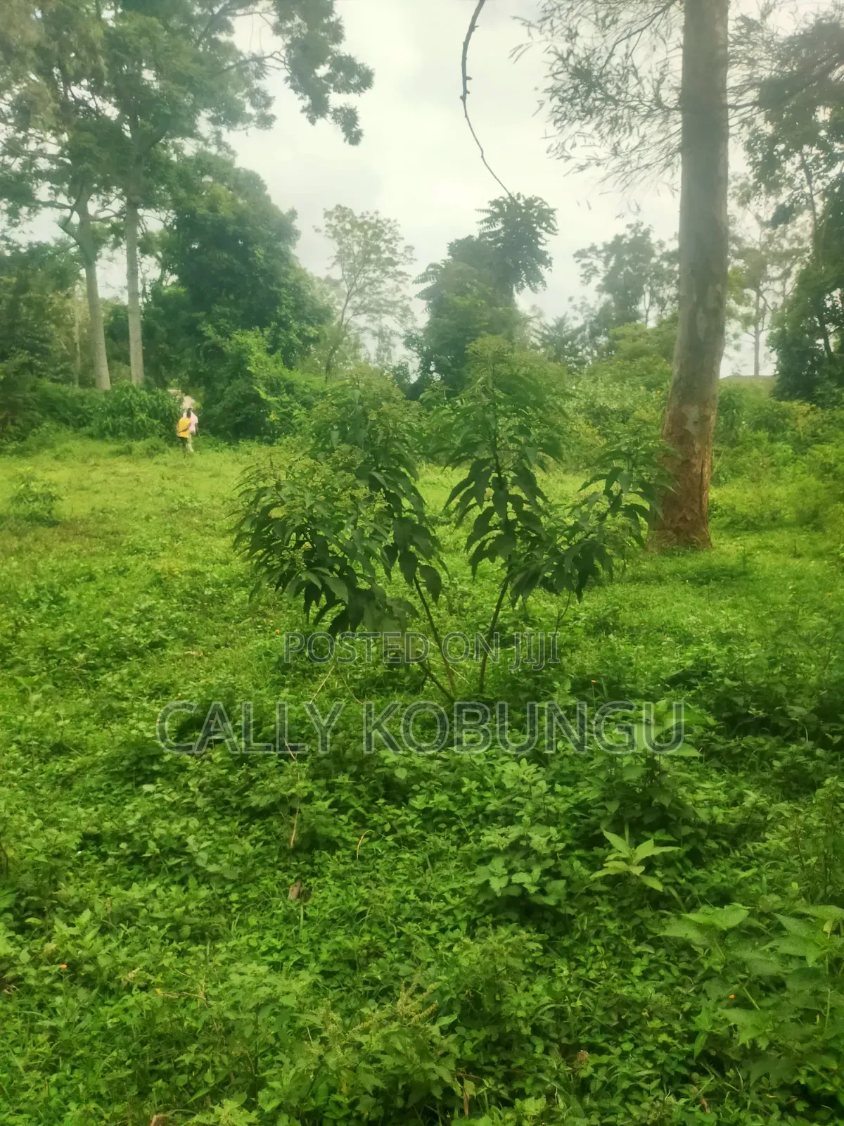 0.04 Ha in Ogango Near Star Hospital