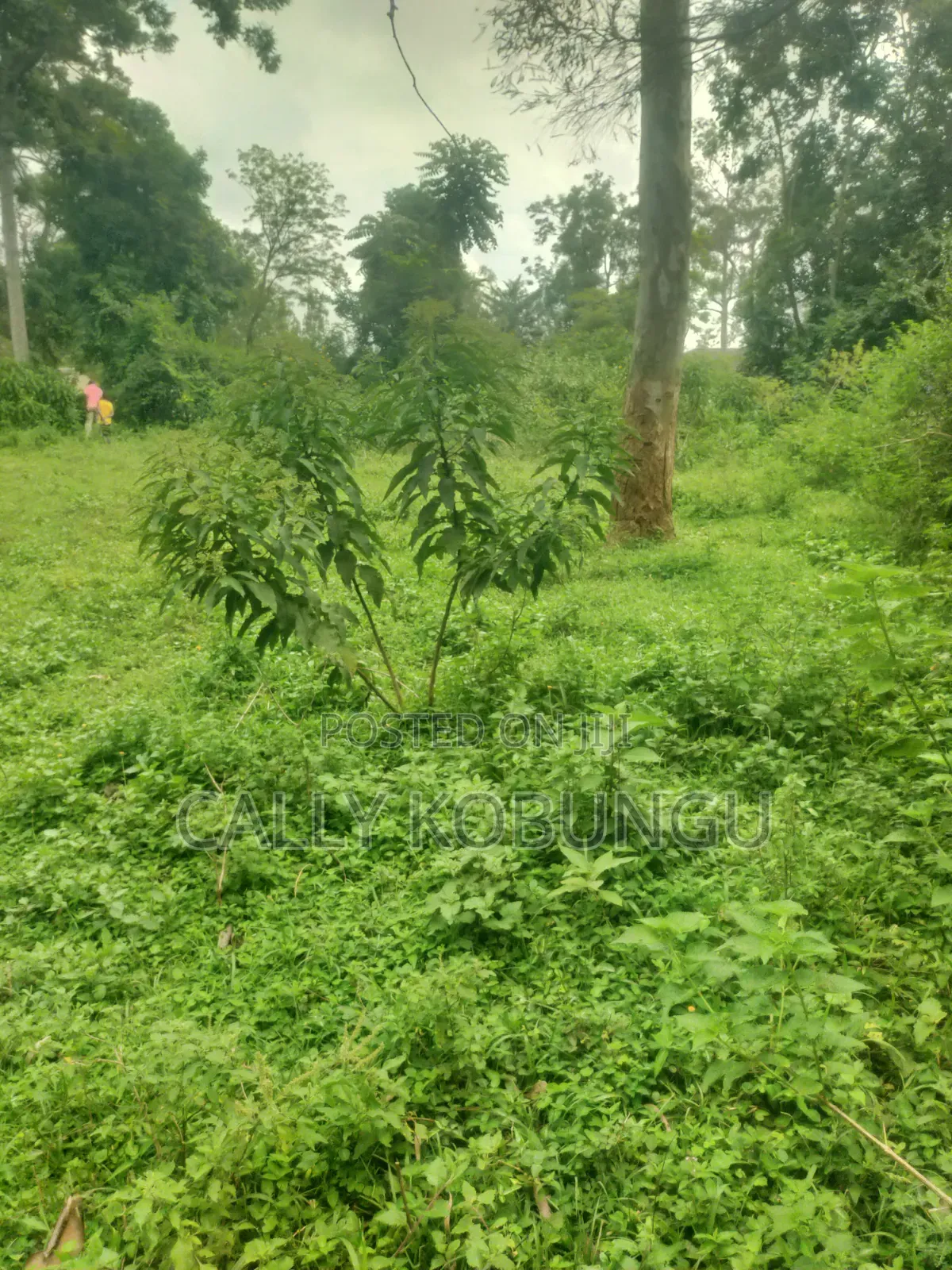 0.04 Ha in Ogango Near Star Hospital
