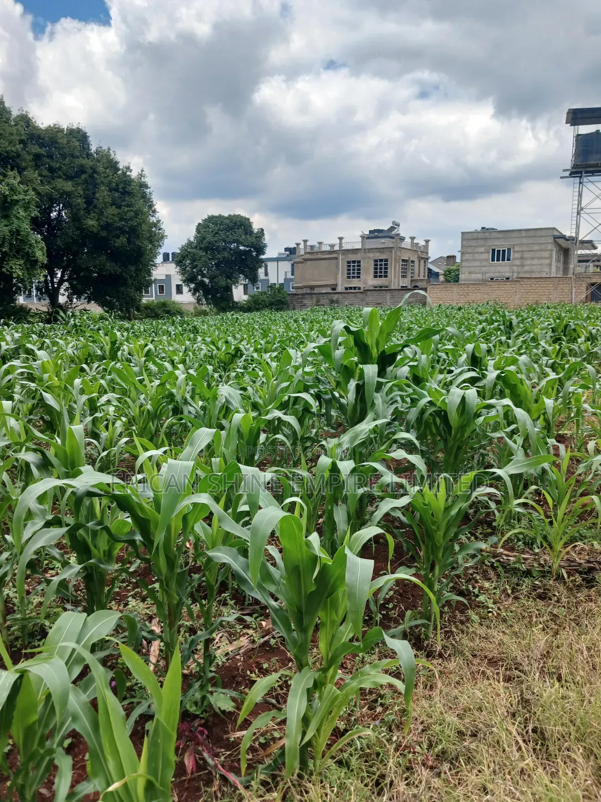Prime 1 Acre Land for Sale in Gikambura
