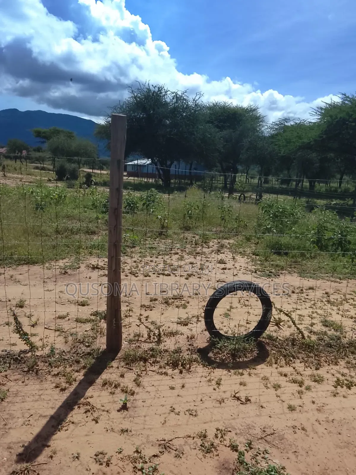 Secure Your Legacy: 5.25 Acres of Pure Serenity in Maili Tisa