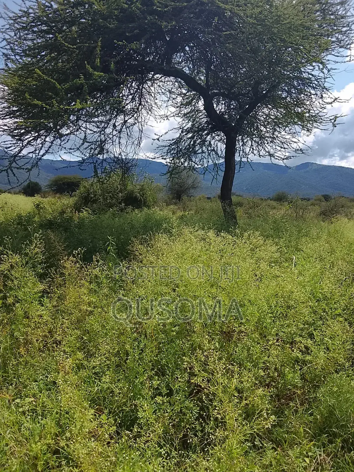 Secure Your Legacy: 5.25 Acres of Pure Serenity in Maili Tisa