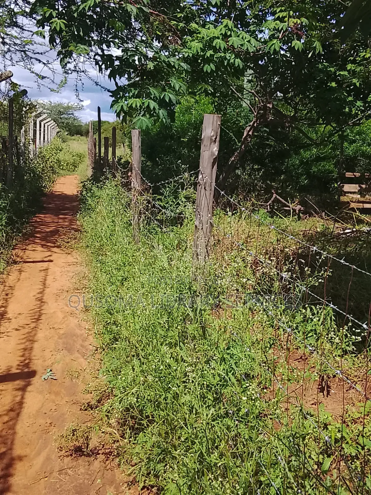 Secure Your Legacy: 5.25 Acres of Pure Serenity in Maili Tisa