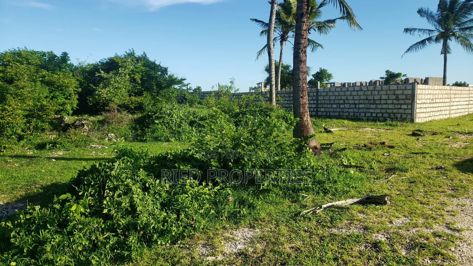 4.5 Acres Beachfront in Malindi,Watamu for Sale