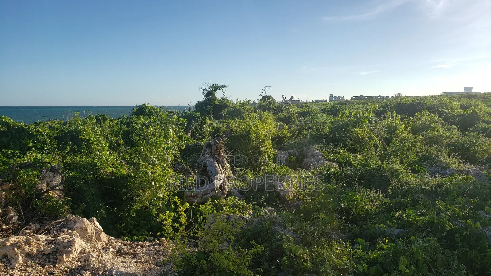 1 Acre Beachfront in Malindi, Watamu for Sale