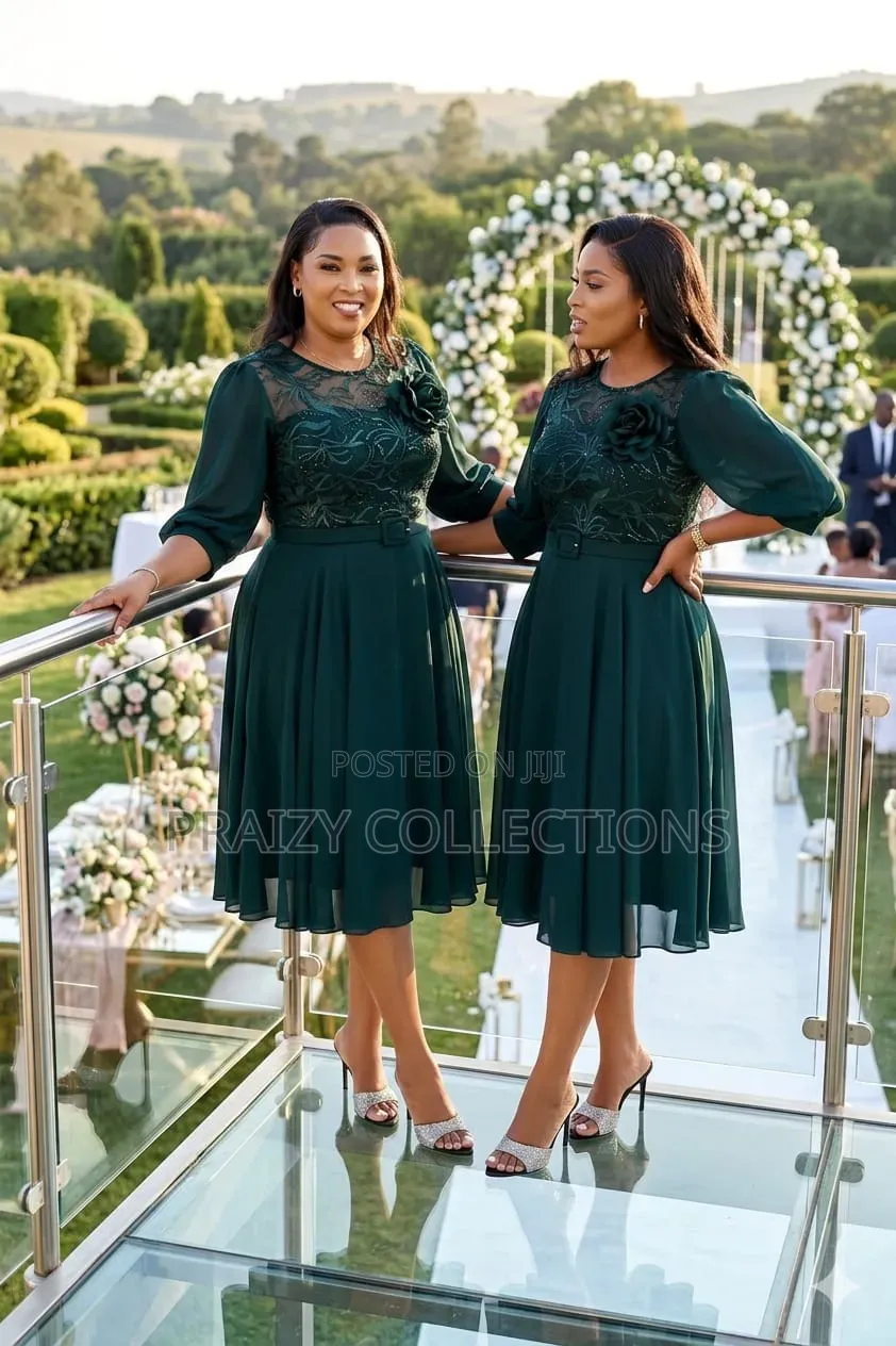 Beautiful Chiffon Swing Dress