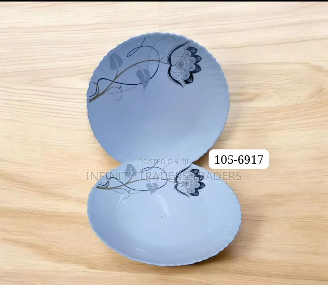 6 PCS Ceramic Plates 10 Inch
