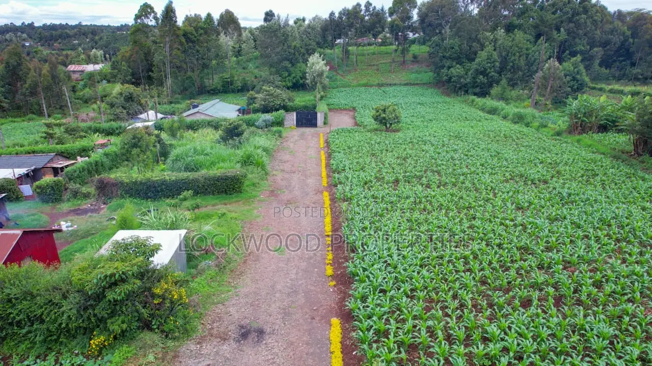 Land for Sale