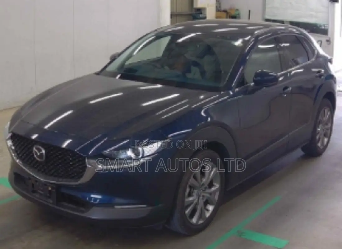 Mazda CX-30 2019 Blue
