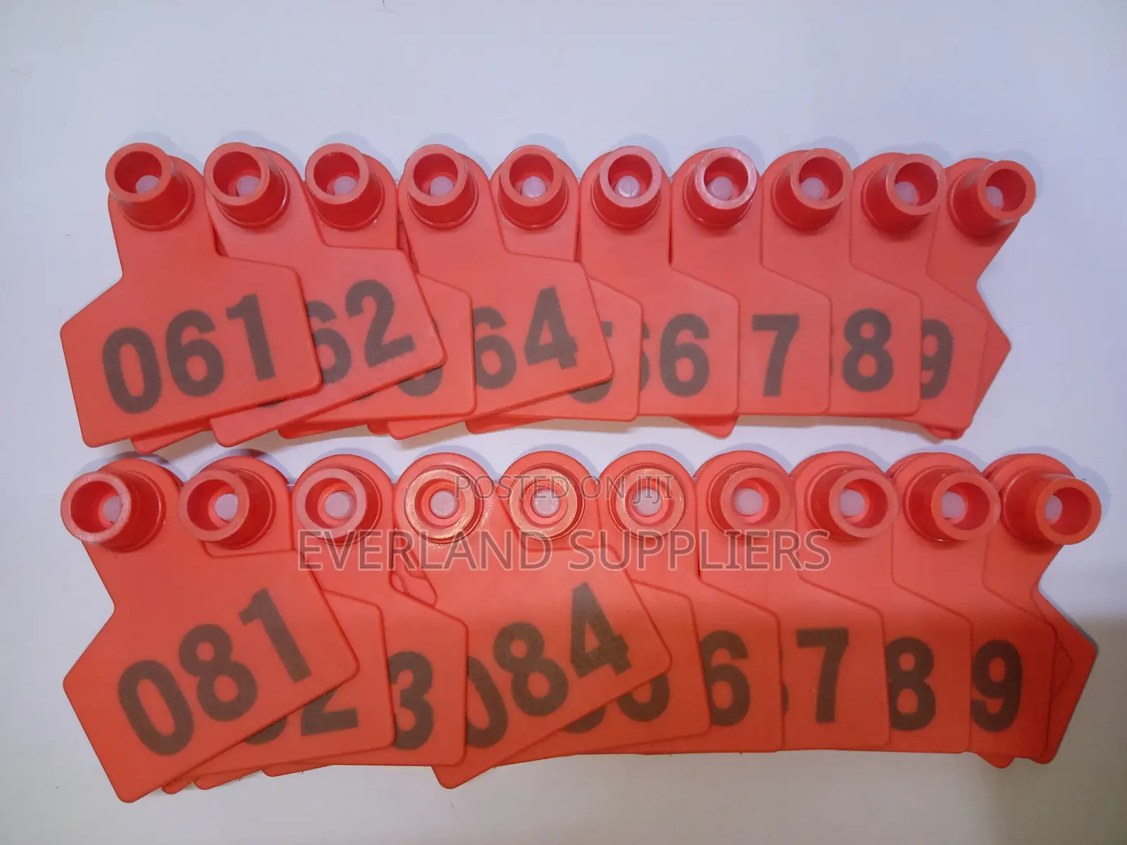 Plastic Livestock Animal Ear Tag for Goats Sheep