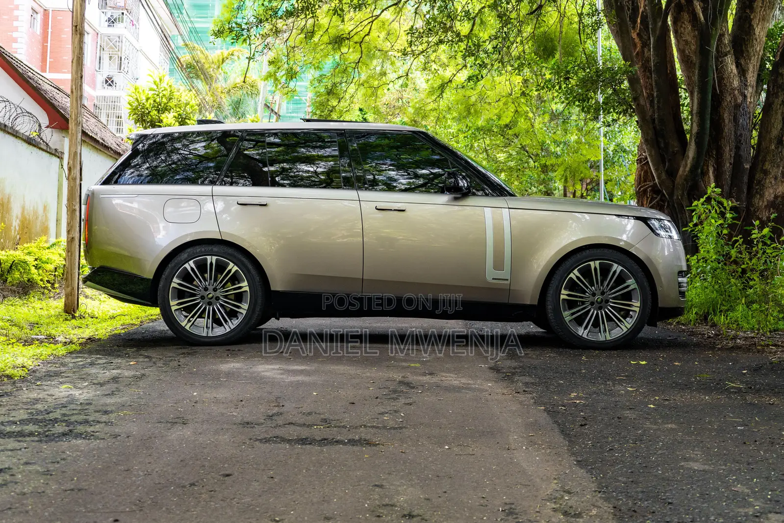 Rover 400 2022 Gold