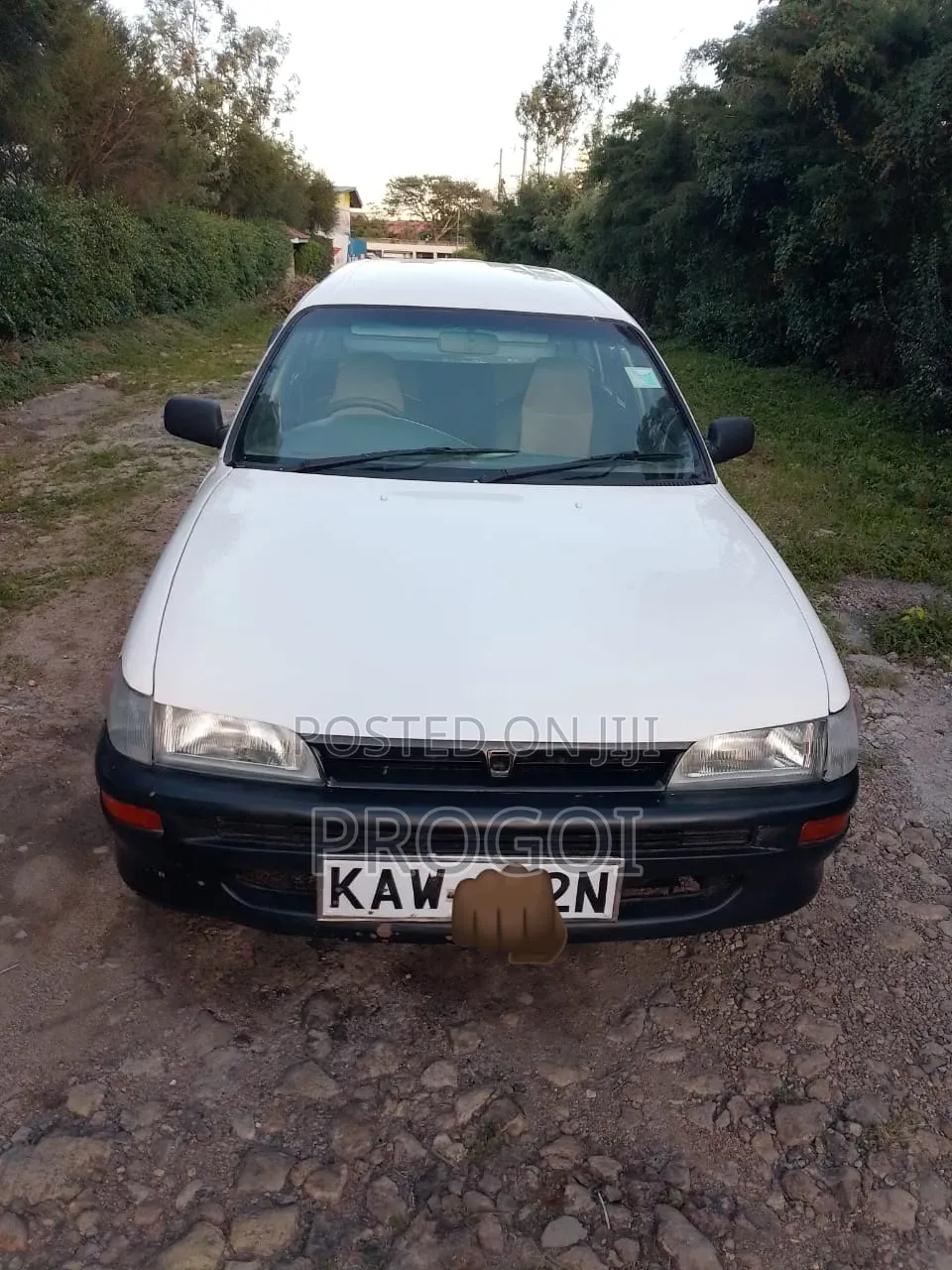 Toyota Corolla Hatchback 2001 White