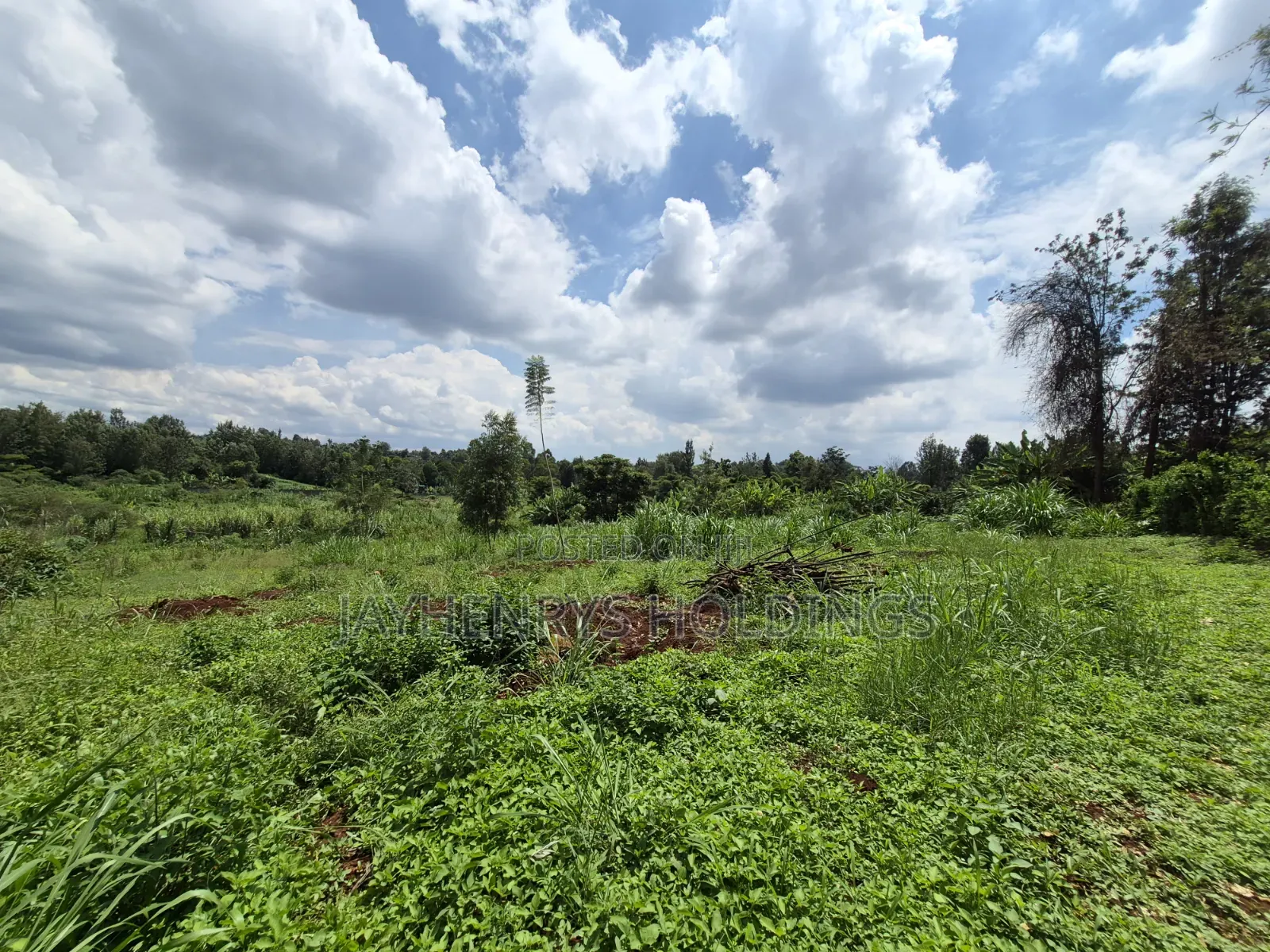 Half Acre Plot for Sale Along Njathaini Rd,Off Kiambu Rd