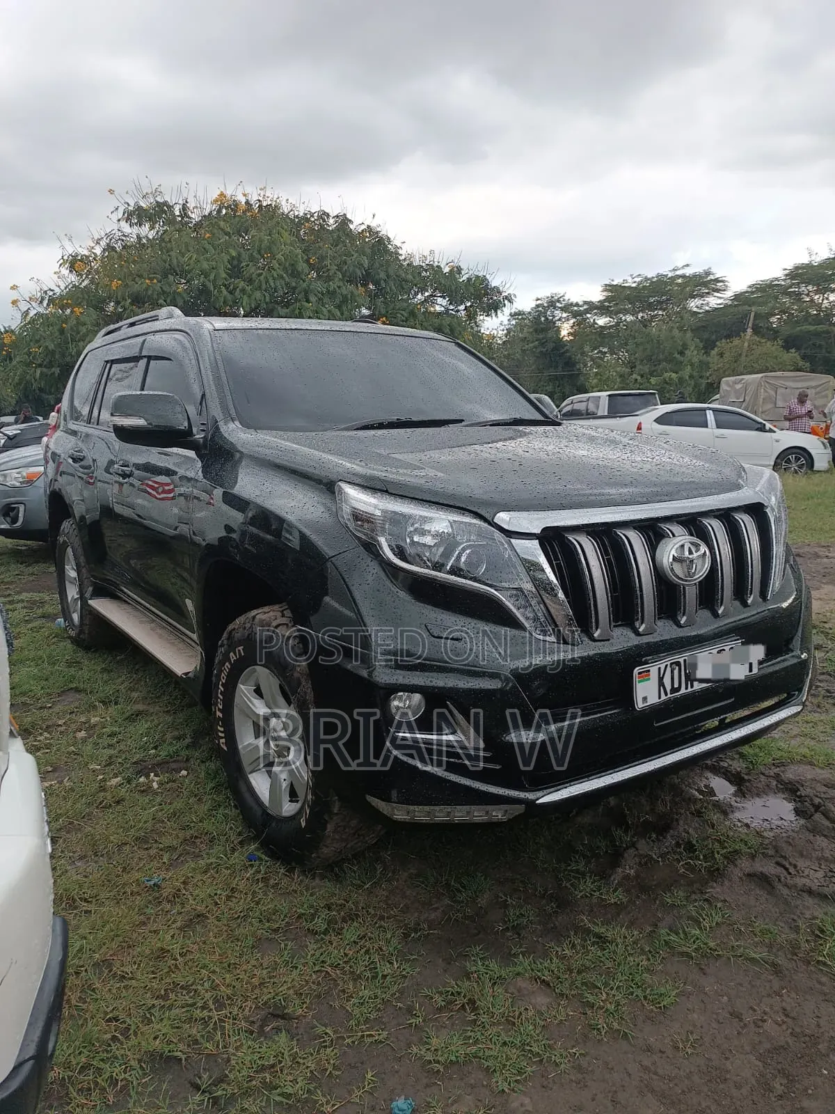 Toyota Land Cruiser Prado 2013 Green