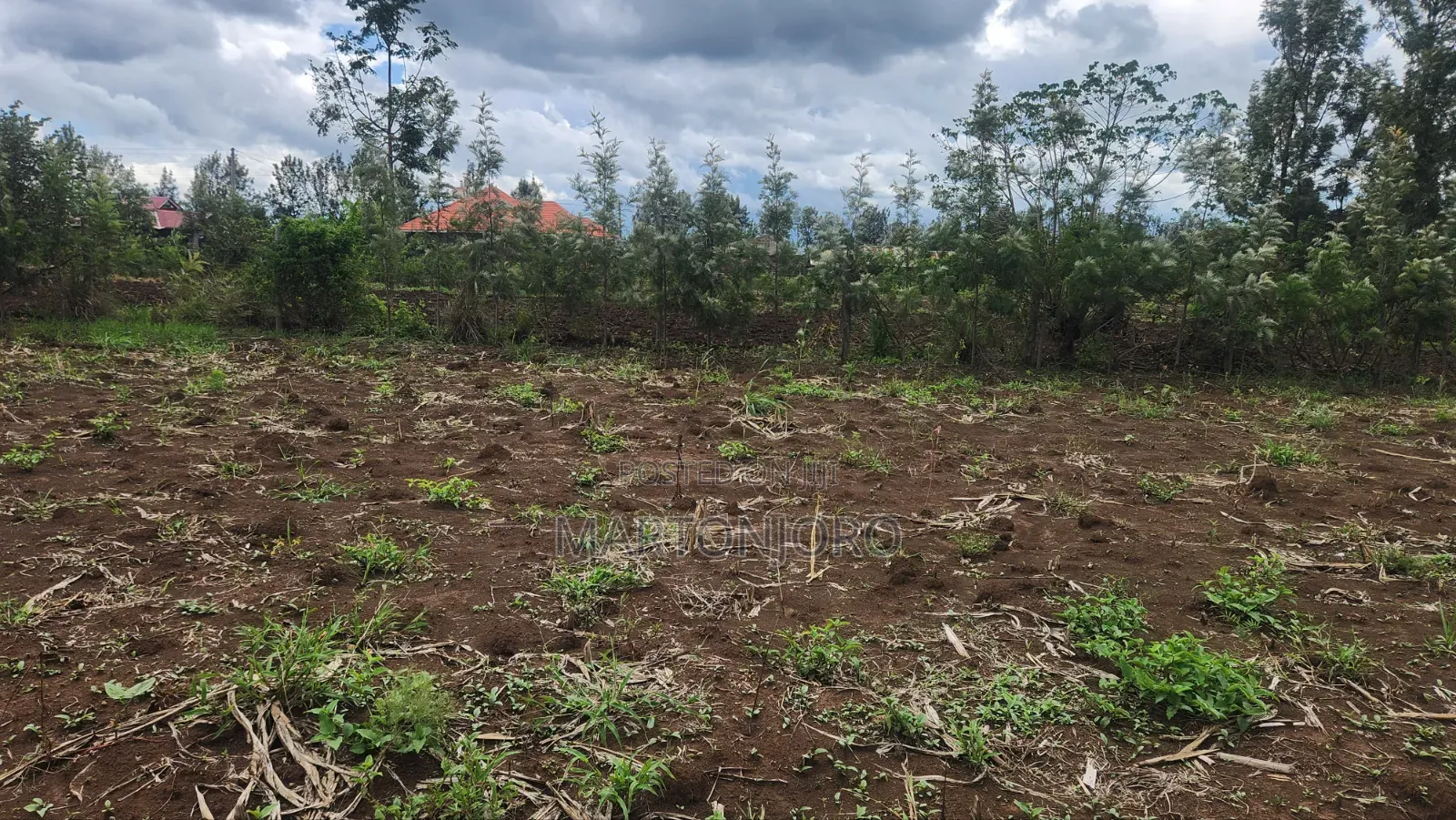 Sagana Kagio 3 Acres