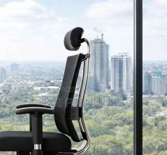 Office Chairs; Eofc44 Ergonomic High Back Office Chairs