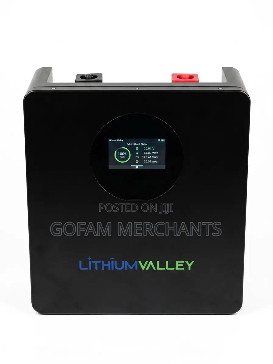 Lithium Valley 2.56kwh Wall Mount Lithium Battery – Solar/Inverter Use