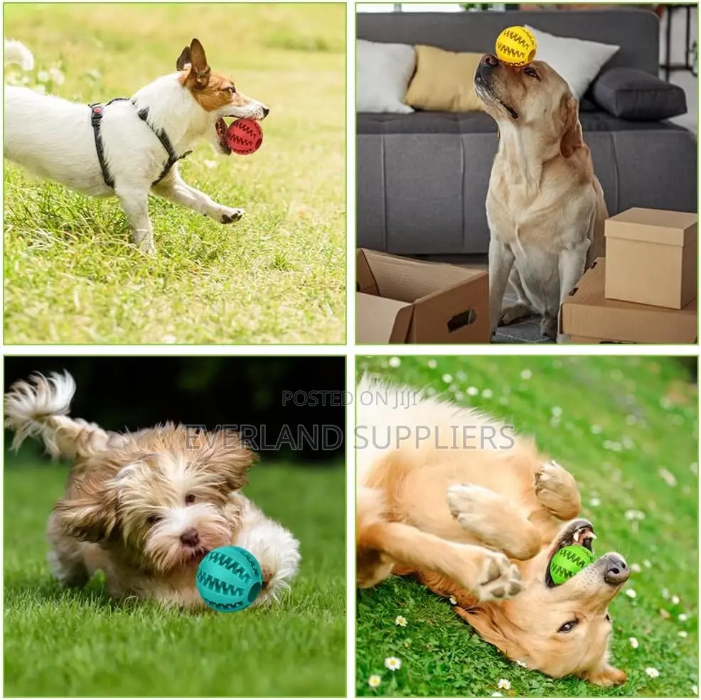 Tooth Cleaning Toy Ball