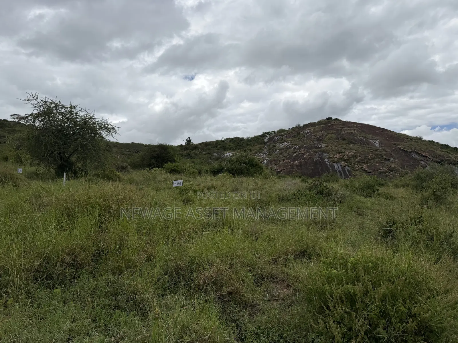 Self Build 1/4 Acre Plots in Lukenya Plains Nairobi Kenya