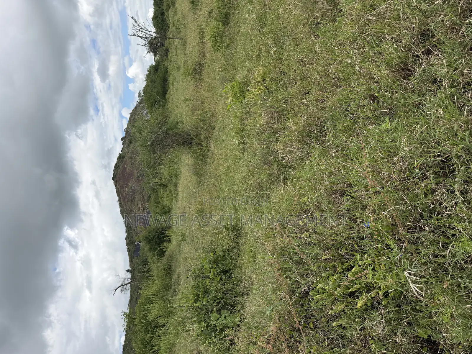 Self Build 1/4 Acre Plots in Lukenya Plains Nairobi Kenya