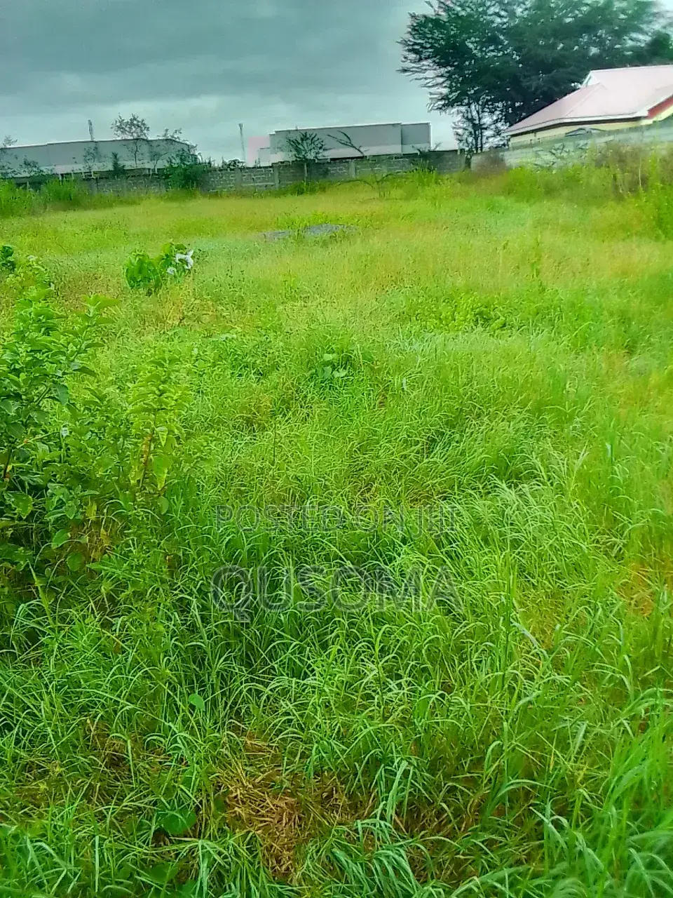 Kitengela’S Last Half Acre Under 10m Acacia | Just Before Olerai Hotel