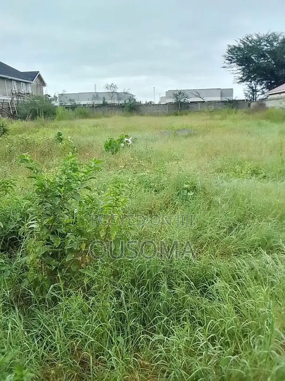 Kitengela’S Last Half Acre Under 10m Acacia | Just Before Olerai Hotel