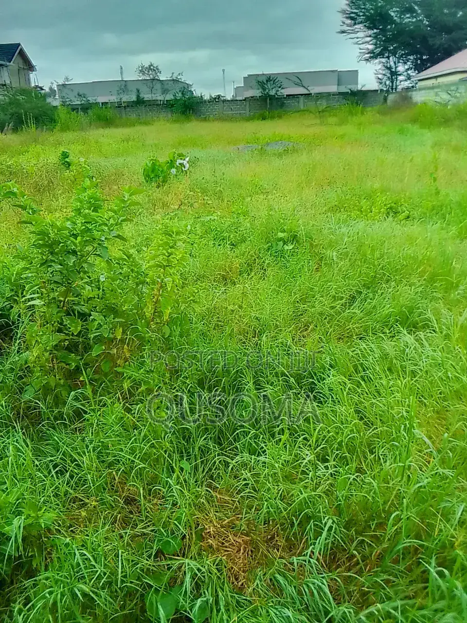 Kitengela’S Last Half Acre Under 10m Acacia | Just Before Olerai Hotel