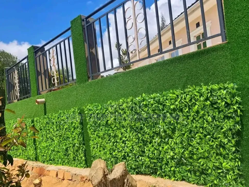 Elegant Green Grass