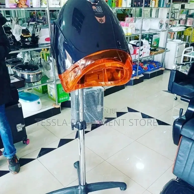 Beauty Salon Barber Hair Dryer Machine Egg Shaped